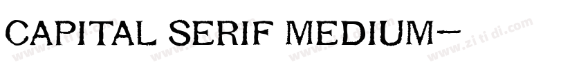 capital serif medium字体转换
